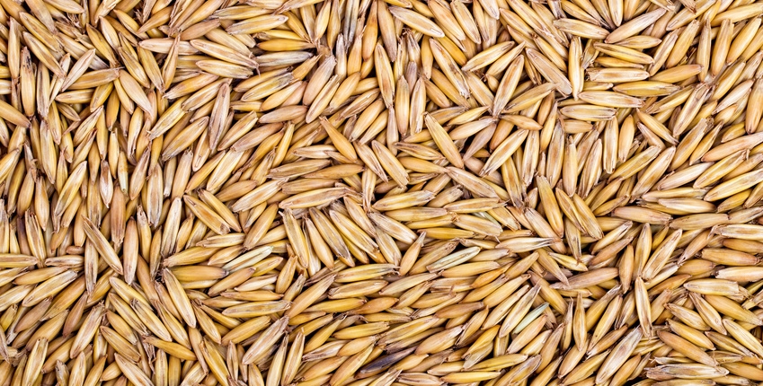 Background from a crude closeup of oats